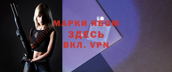 тгк Каменка