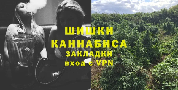 мдпв Нестеровская