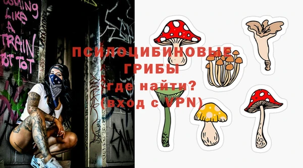 экстази Каменногорск