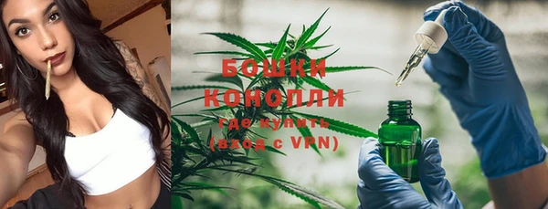 гидропоника Инта