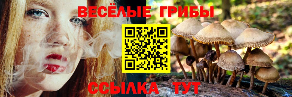 Галлюциногенные грибы мухоморы Кохма