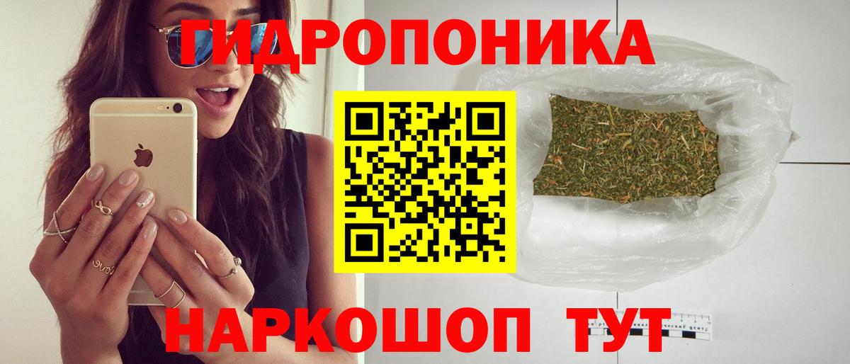 Шишки марихуана OG Kush Кохма